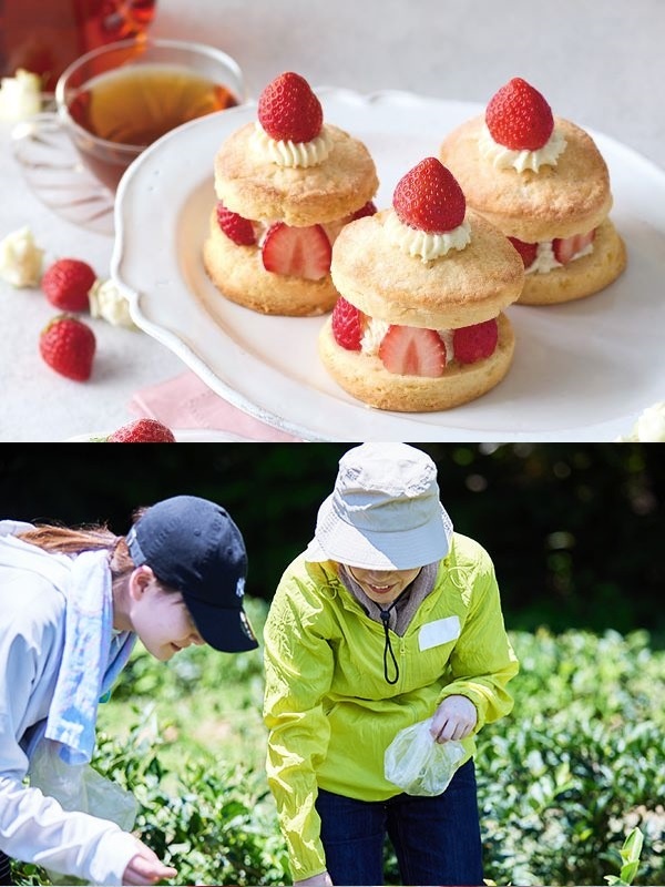 『Afternoon Tea TEAROOM』のカフェスタッフ◆茶葉にこだわる一杯を届ける/未経験可イメージ1