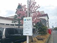 営業事務（ミステリーショッピングの海外窓口担当）◆月給30万円～／年間休日120日／上場企業グループ2