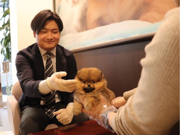 転職・求人情報イメージ1