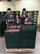青果の営業（未経験歓迎）◆創業60年以上の安定企業／16時退勤／賞与年2回／平均勤続年数13年！1