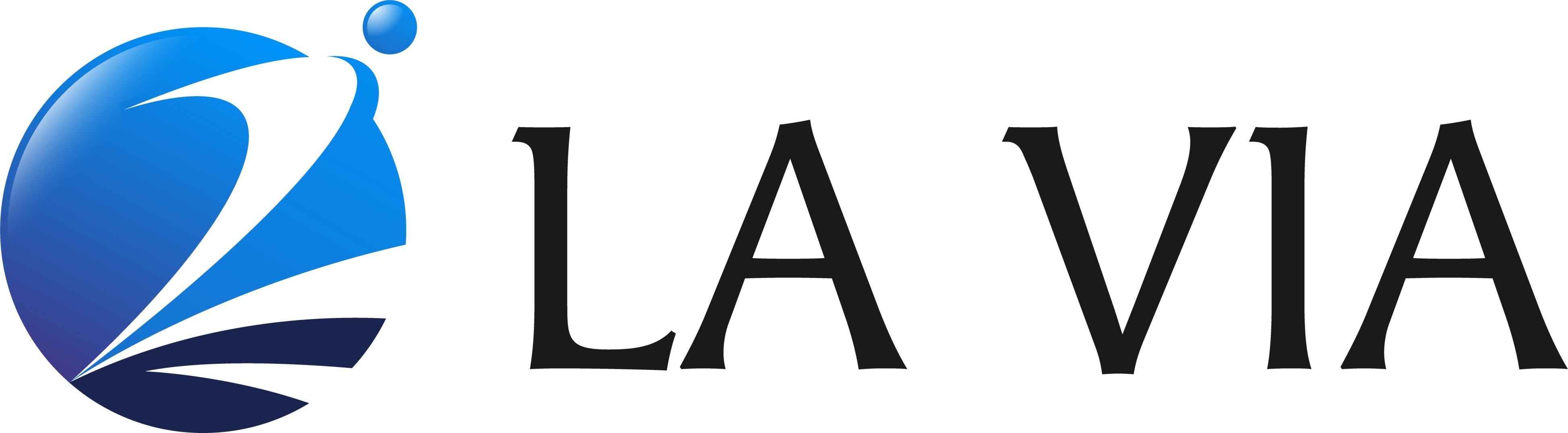 合同会社LA VIA