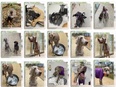 トリマー（トレーニング等を担当）◆ワンランク上の接客／大型犬も安心のホテル／犬好き・世話好き歓迎！2