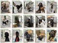 トリマー（トレーニング等を担当）◆ワンランク上の接客／大型犬も安心のホテル／犬好き・世話好き歓迎！3