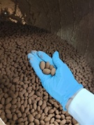 チョコレート製品の製造スタッフ◆未経験歓迎／賞与昨年度4ヶ月分／夜勤なし／髪型・髪色自由／設立50年1