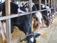 法人営業（家畜が食べる飼料及び肥料の提案）◆食料自給率の向上に貢献！／土日祝休／1年かけて育てます3