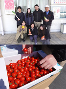 物流管理（農産物の品質チェックなどを担当）◆未経験OK／完休2日／賞与支給実績4.0ヶ月分1