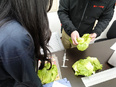 物流管理（農産物の品質チェックなどを担当）◆未経験OK／完休2日／賞与支給実績4.0ヶ月分2