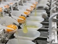 製造スタッフ◆未経験9割／夜勤無／完休2日／住宅手当等充実／賞与実績3ヶ月分／上場企業／年休122日3