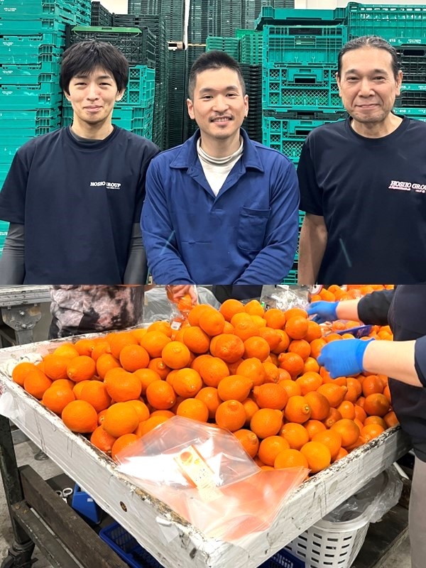果物コンテナのメンテナンス担当（未経験可）◆年休120日／2025年6月開設の新倉庫／最短即日内定！イメージ1