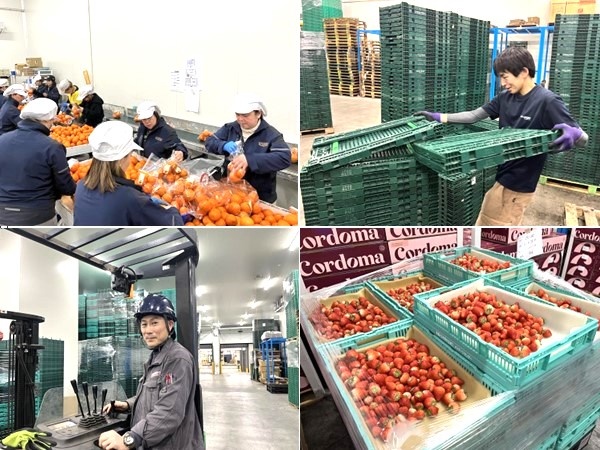 転職・求人情報イメージ2