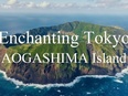 国際広報（課長級）◆世界に向けて東京都の施策や魅力を発信2
