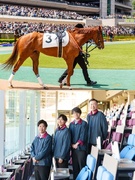 公営競技場のエンジニア（競馬・競輪・競艇）◆未経験歓迎／賞与4.3ヶ月／定着率94％／住宅手当あり1