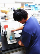 OEM化粧品の研究開発（未経験歓迎）◆70年の歴史を持つ安定企業／残業月8時間以下／年間休日115日1