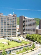 デジタル専門官（ネットワークインフラ整備担当）◆庁舎再編・国の方針に伴う改革を推進／リモートOK1