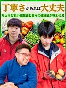 野菜の梱包スタッフ（将来的に現場管理）◆年間休日150日も可能／1食500円の食堂／資材管理も担当1