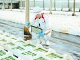 植物工場の生産管理◆挑戦を歓迎し、成果をしっかり評価／未経験OK／転勤夜勤なし／月給30万円～3