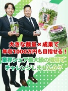 野菜メーカーの企画営業◆年収1000万円以上も目指せる／業界トップクラスのシェア／転勤なし1