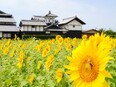 安芸市職員（事務・土木・保育・建築等）◆昨年賞与4.65ヶ月分／県内上位の移住実績／年休120日以上3