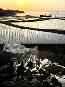 ロケーションコーディネーター（CM・SNS動画を担当）◆日本全国を舞台に、未開の景色を見つけ出す1