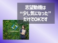 フロアデザイナー◆先輩の7割が接客業出身!/「気配り」が活きる環境/想定年収480万円&年休120日2