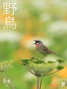 編集◆会誌発刊を通じて野鳥や自然の保護に貢献／年間休日125日／残業月20h以下／住宅手当あり1
