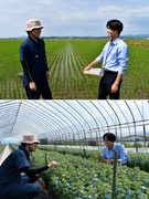JA職員◆『ゆめぴりか』などブランド米の栽培を支援／残業月平均13.2時間／生活を支える手当も充実！1