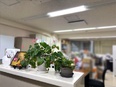 事務（仕訳を担当）◆実働7時間／基本17時に定時退勤／年間休日120日以上／土日祝休み／100%内勤2