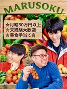 市場内のルート営業(野菜の仲卸)◆未経験歓迎/定時8時~17時/入社3年で年収500万円も!1