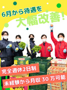 野菜の仕分けスタッフ（未経験歓迎）◆6月～賞与も倍に！＆月収30万円以上も可／完全週休2日制／急募1