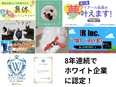 施工管理アシスタント◆8年連続ホワイト認定／年休125日／土日祝休み／手厚い研修＆2名のサポート担当2