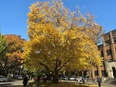 法人営業（DX教育）◆東大の知を企業へ／『東京大学』100％出資／フレックスタイム制／年休125日2