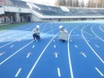 スポーツ施設の土木技術担当（主任級）◆都内18スポーツ施設／土木関連施設の改修・補修工事を担当2