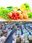 野菜の仕分けスタッフ◆月給30万5000円以上／日曜、水曜休み・市場カレンダーによる1