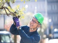 植木カットデザイナー（未経験歓迎）◆働く日数は自分で決める／未経験が8割／月収100万円以上も可能！3