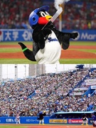 経理総務◆プロ野球球団『東京ヤクルトスワローズ』を支える／賞与6.2ヶ月分／年休122日／土日祝休み1