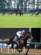事務スタッフ◆賞与5.7ヶ月分／寮あり／ディープインパクトなどを輩出／競馬に携われる仕事です！1
