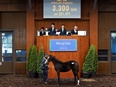 事務スタッフ◆賞与5.7ヶ月分／寮あり／ディープインパクトなどを輩出／競馬に携われる仕事です！2